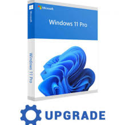Windows 11 Pro Upgrade