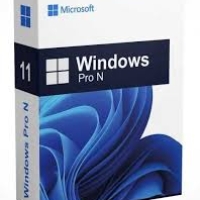 Windows 11 Pro N Upgrade