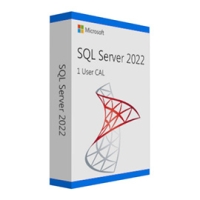 SQL Server 2022 - 1 User CAL