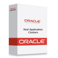 Oracle Real Application Clusters – Processor Perpetual