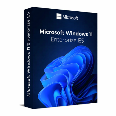 Windows 11 Enterprise E5