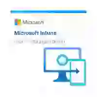 Microsoft Intune Plan 1 Storage Add-On