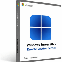 Windows Server 2025 Remote Desktop Services CAL - 1 User